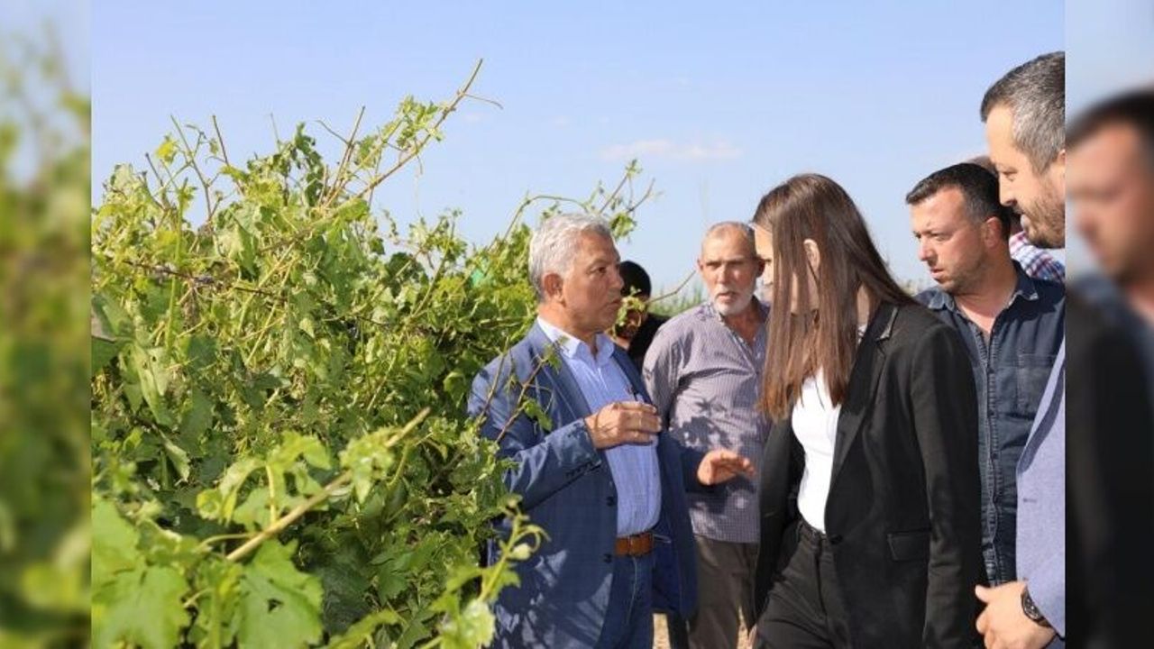 Başkan Durbay dolunun zarar verdiği alanları inceledi