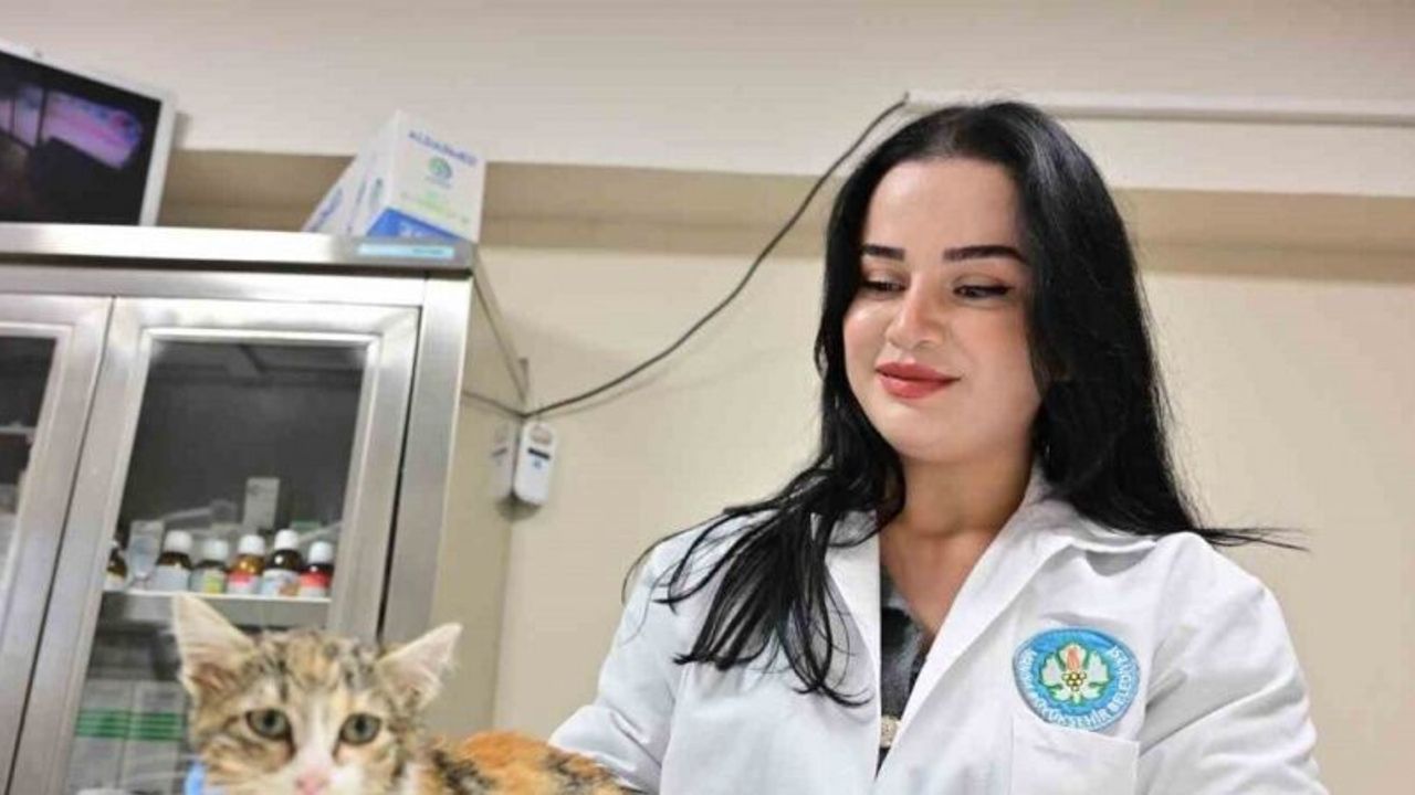 Minik Patiler Kliniği’nde kısırlaştırılan kedi sayısı 3 bini geçti