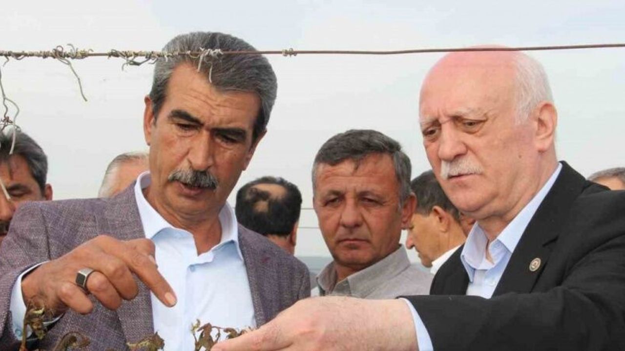TZOB Genel Başkanı Bayraktar, Manisa’da don afeti sonrası bağlarda incelemelerde bulundu