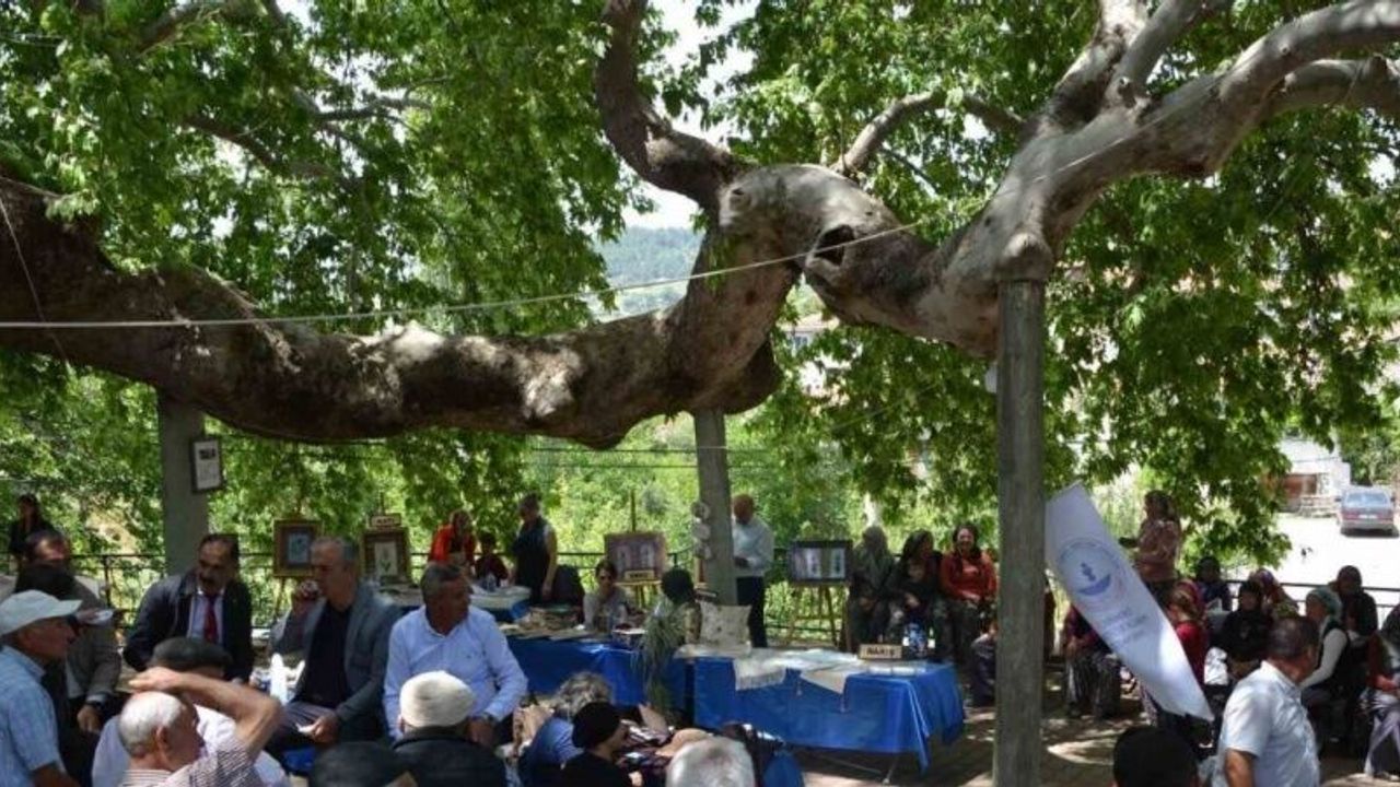 Manisa’da iki bin yıllık tarihi çınarın gölgesinde eserlerini sergilediler