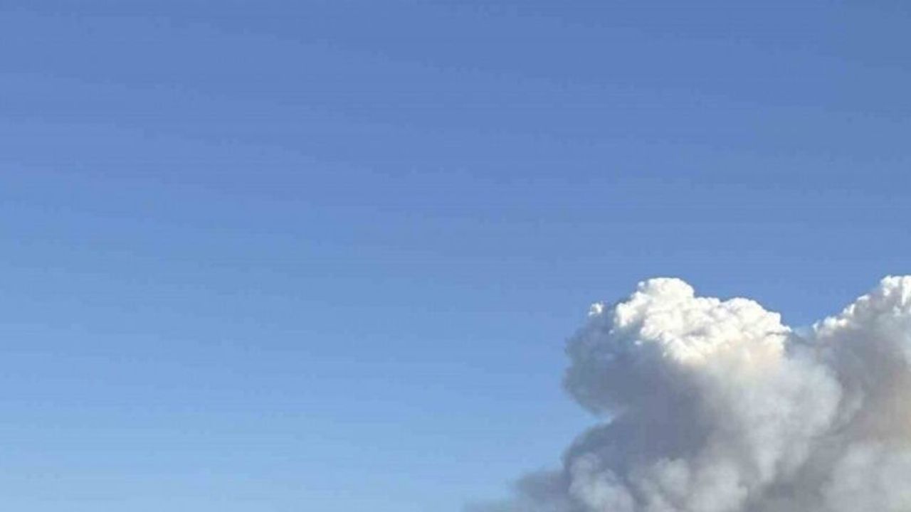 Manisa’nın farklı bir noktasında daha orman yangını çıktı