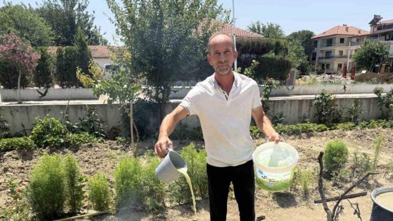 Sarıgöl’de bağlarda kesilen koruklar ekonomiye kazandırılıyor