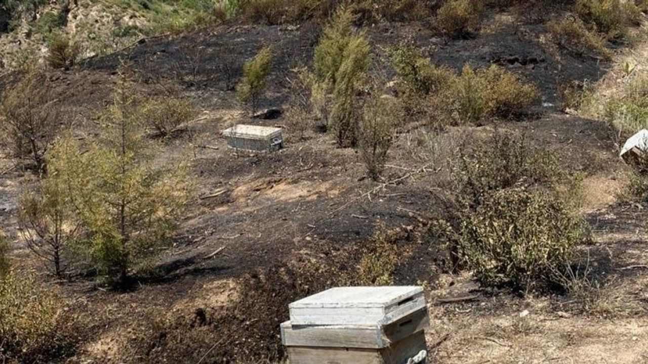 Turgutlu’da kırsal alanda çıkan yangın ormanlık alana sıçramadan söndürüldü