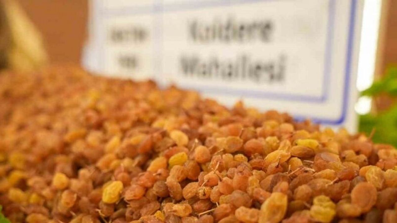 Manisa’da borsaya gelen yılın ilk kuru üzümü 3 bin 500 TL’den alındı