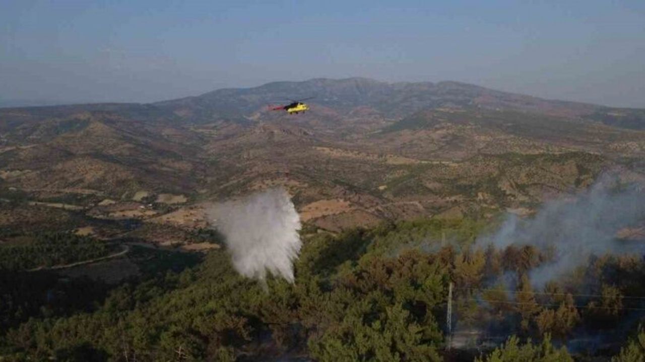 Manisa’daki yangında 5 hektarlık kızılçam ormanı zarar gördü
