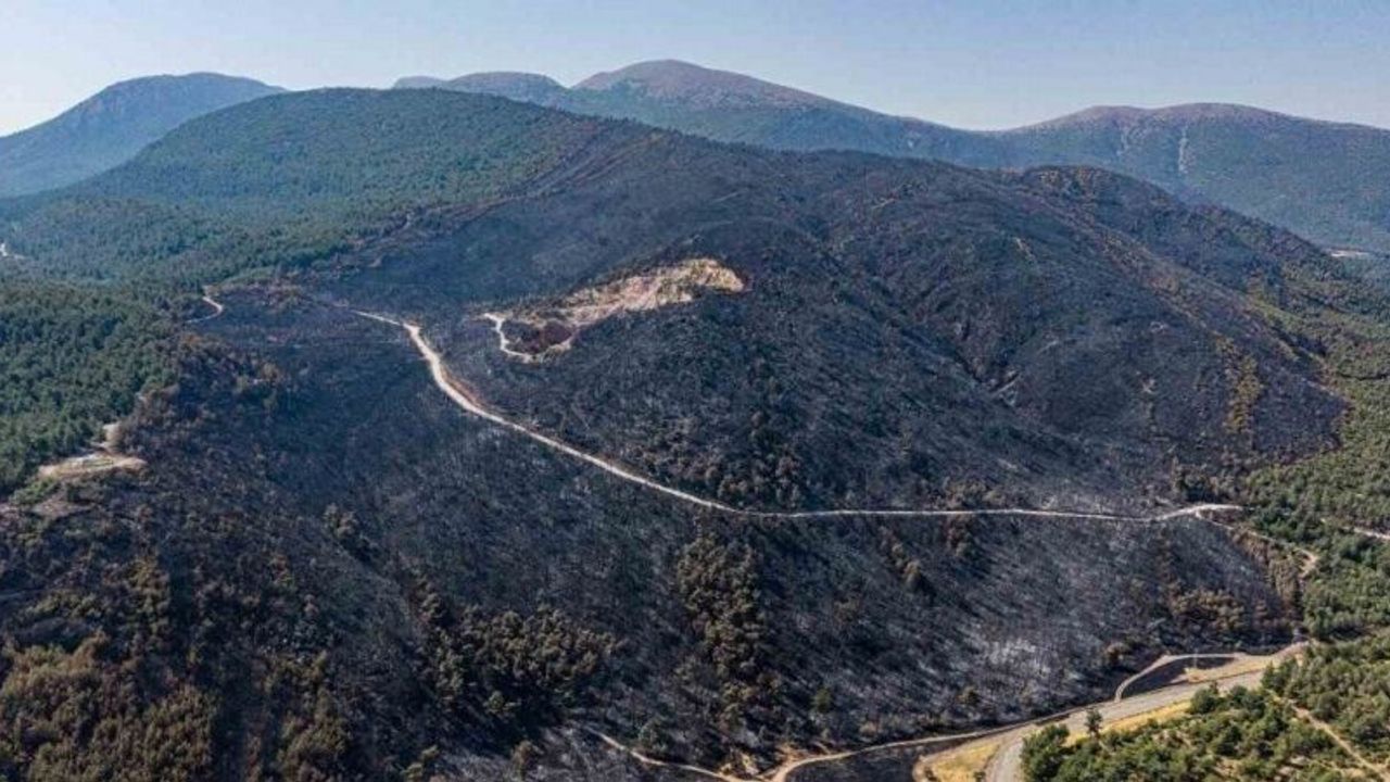 Soma’daki orman yangınında soğutma çalışmaları sürüyor