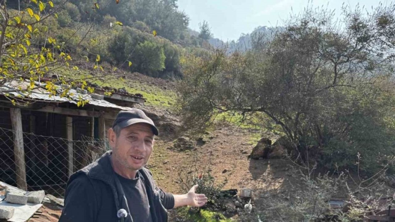 CİMER’e yapılan ’İnek ve tavuklar serbest dolaşıyor, salgın hastalık riski var’ şikayeti bölge sakinlerini şaşkına uğrattı