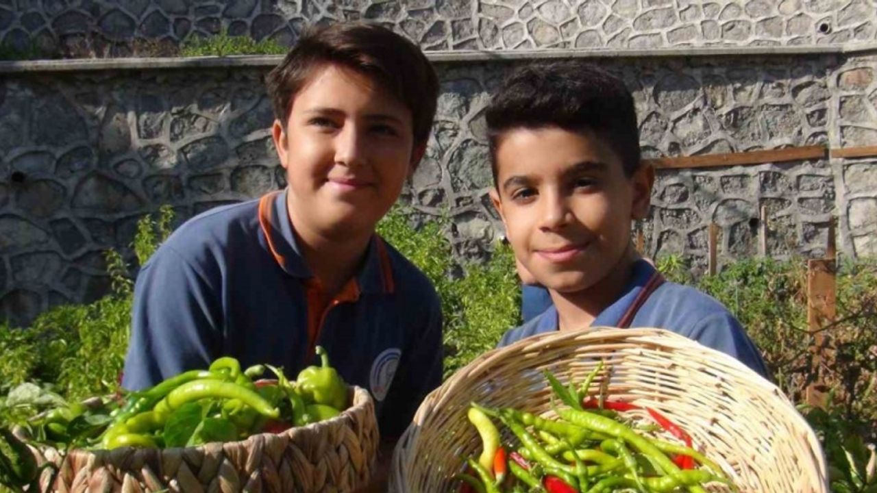 Minik eller, turşuyla büyük işlere imza atıyor