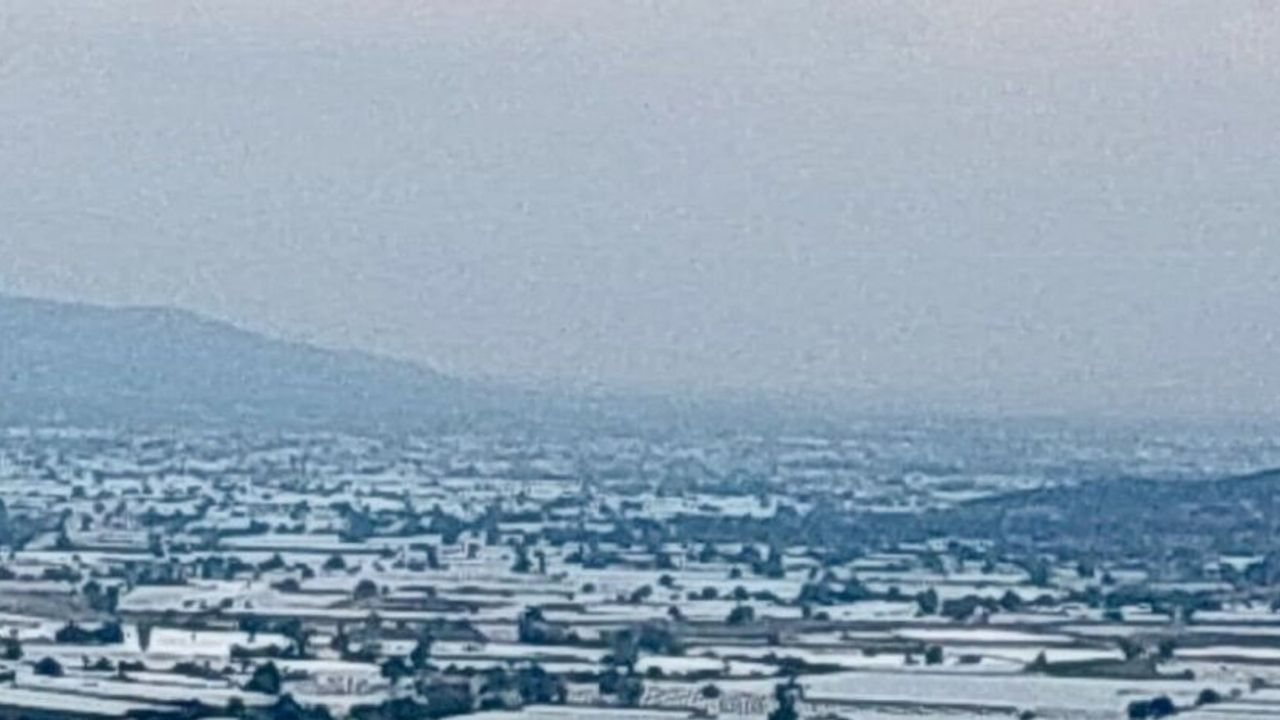 Sarıgöl’de üzüm üretici ihracatın hız kazanmasını bekliyor