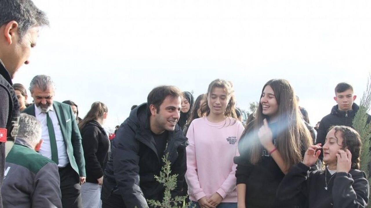 Yangında küle dönen ormanlık alanda fidan diktiler