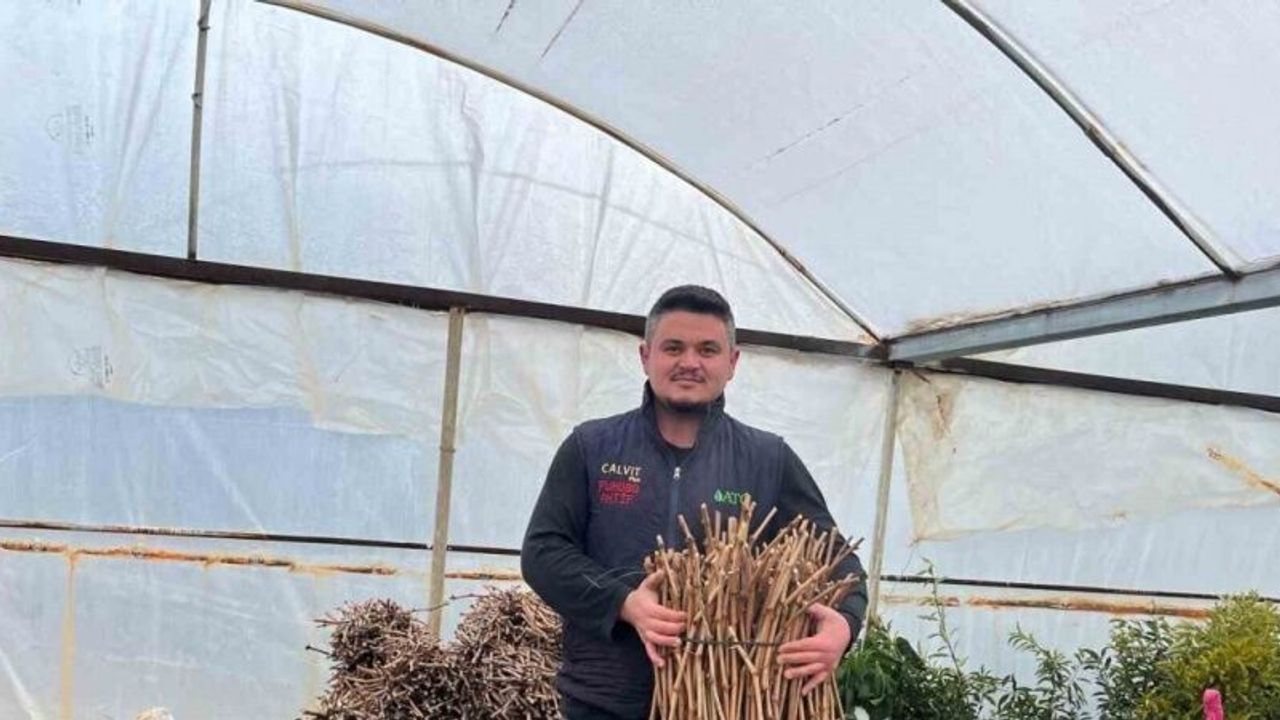 Genç kardeşlerden Sarıgöl ekonomisine 700 bin fidan hamlesi