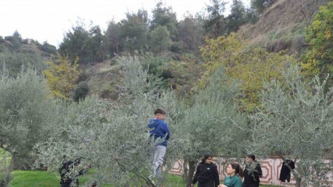 Manisa’da "Zeytin 5.0 Projesiyle" çocuklar hem öğrendi hem üretti