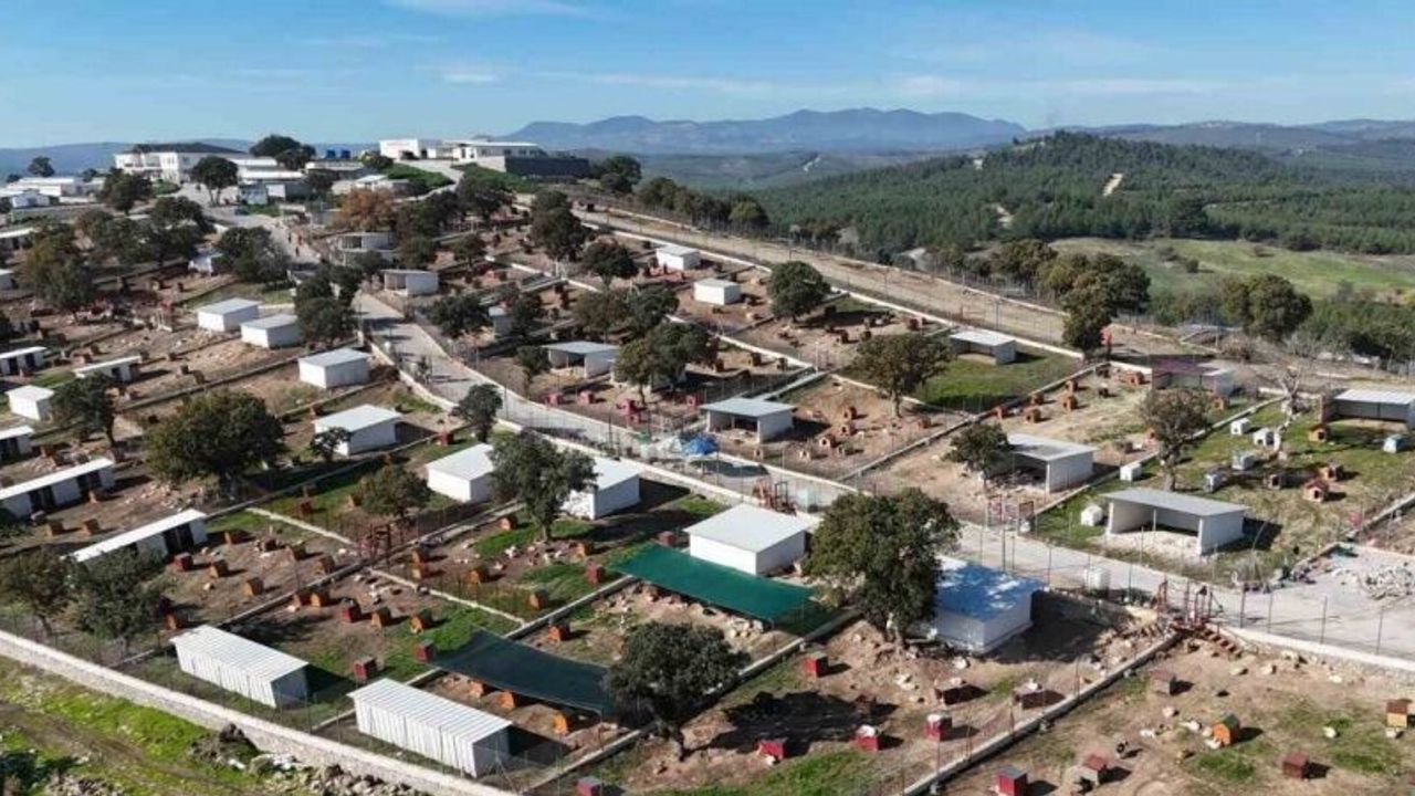 Yunusemre’de sokak hayvanlarına örnek yaşam merkezi