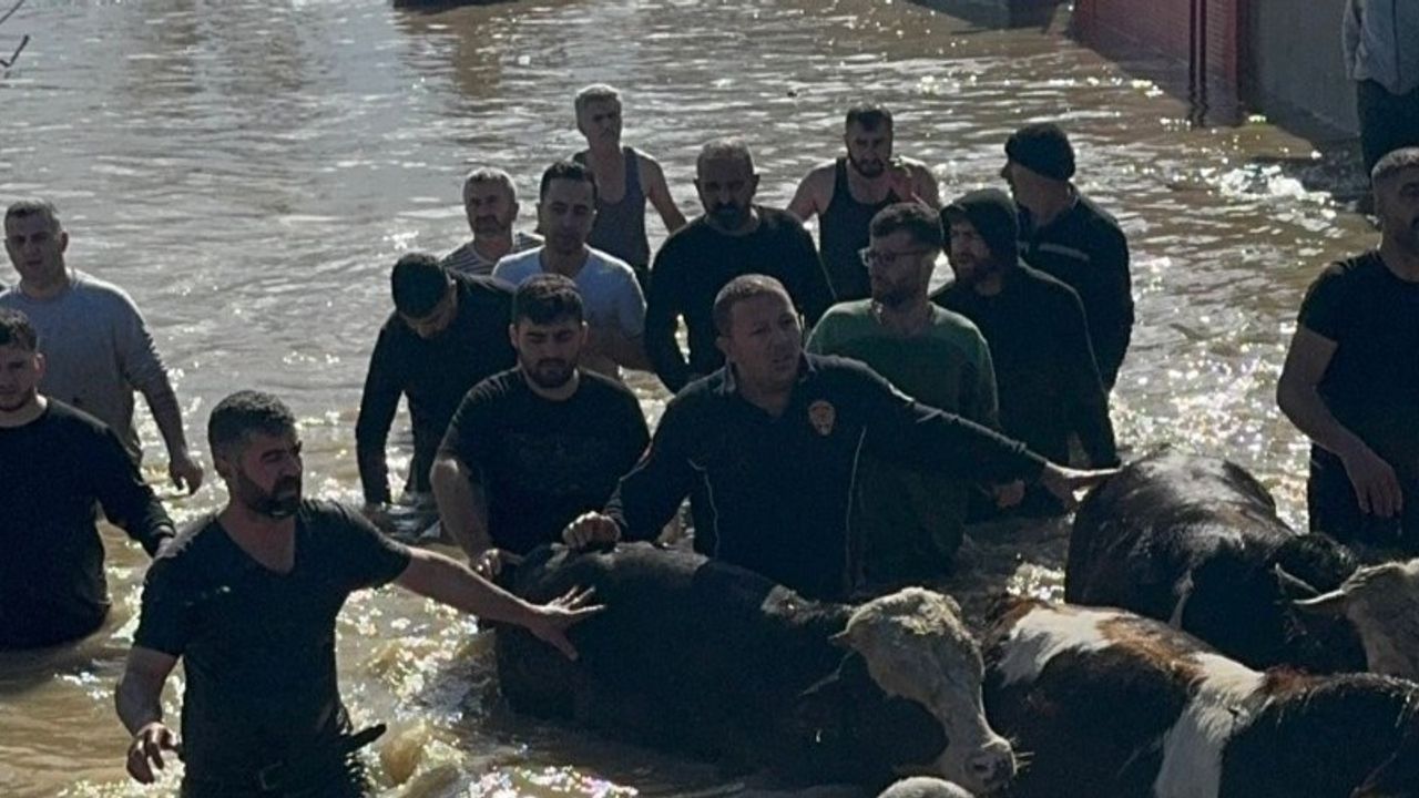 Taşan Gediz Nehri dolayısıyla mahsur kalan 44 kişi ve 127 hayvan kurtarıldı