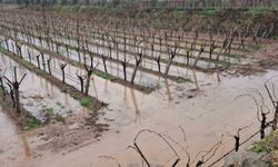 Sarıgöl’de bereketli yağmurlar yüzleri güldürdü