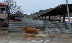 Şiddetli yağışlar Kula’da taşkınlara yol açtı