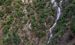 Taşkınlara neden olan yağmurlar kuruyan şelaleyi canlandırdı