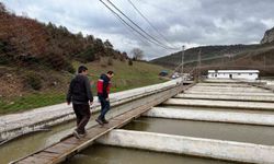 Çavdarhisar'da su ürünleri üretim tesislerinde denetim