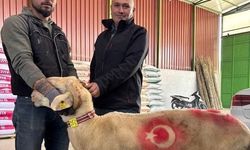 Sarıgöl'de kurbanlık pazarı hareketlendi