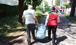Manisa'da ormanlık alanda yüzlerce kilo çöp toplandı
