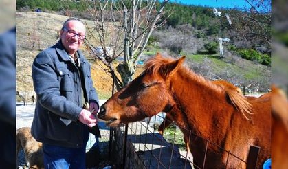 Spil'in yılkı atları, onun yolunu gözlüyor
