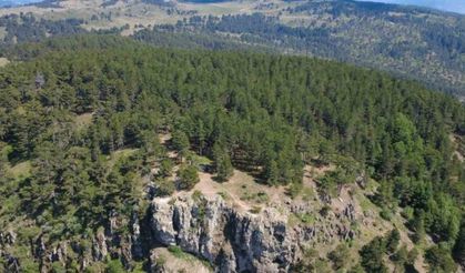 Gelin Uçtu Tabiat Parkı tescillendi