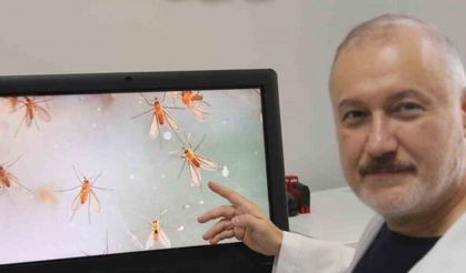 Uzmanlardan ’Yakarca’ uyarısı