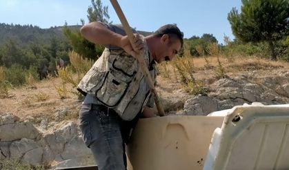 Soma’da balıklar ölmesin diye kurumlar el ele verdi