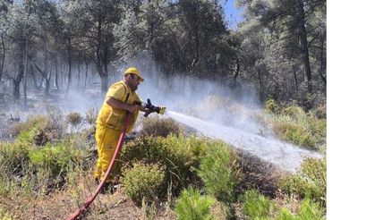 Şuhut Orman İşletme Şefliği ekipleri yangın bölgesinde