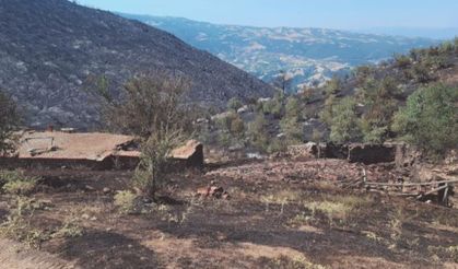 Yangından geriye küle dönen evler ve tarlalar kaldı