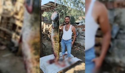 Manisa’da oltayla 2 metrelik yayın balığı yakaladı