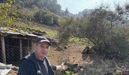 CİMER’e yapılan ’İnek ve tavuklar serbest dolaşıyor, salgın hastalık riski var’ şikayeti bölge sakinlerini şaşkına uğrattı