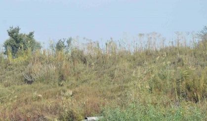 Manisa’da çevreyi kirletenlere 132 milyonluk ceza