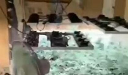 Evde “Zehir” serası