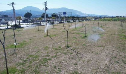 Manisa'da yeşil alanlarda akıllı sulama dönemi başladı