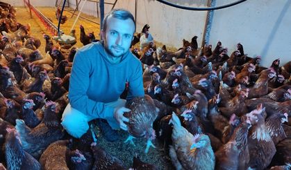 Ev Kiraları Yüzünden Şehirden Göç Ederek Gezen Tavuk Çiftliği Kurdu