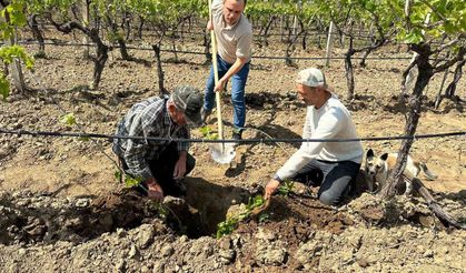TARİŞ'ten bağlara yakın takip