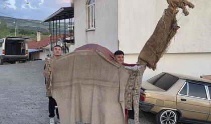 Manisa'da 135 yıllık 'Kukla Deve' geleneği yaşatılıyor