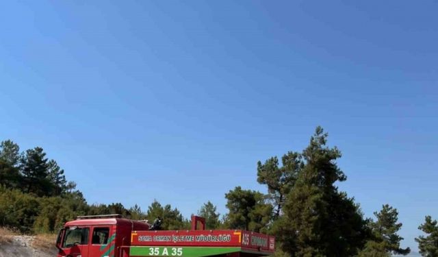 Manisa’nın ’Yangın Riskini Azaltma Planı’ Türkiye’ye örnek olabilir