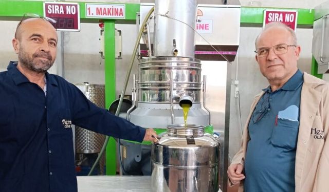 Manisa Köprübaşı'nda zeytinyağı fabrikaları sezonunu açtı