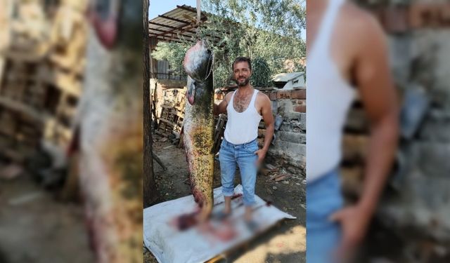 Manisa’da oltayla 2 metrelik yayın balığı yakaladı