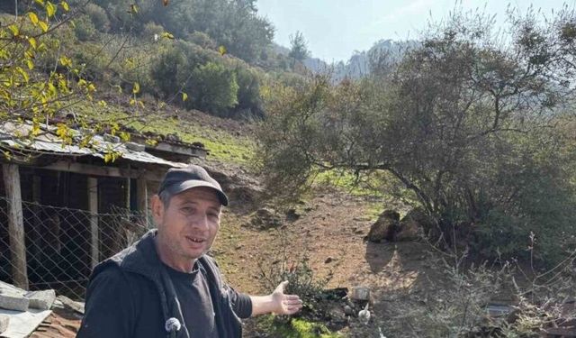 CİMER’e yapılan ’İnek ve tavuklar serbest dolaşıyor, salgın hastalık riski var’ şikayeti bölge sakinlerini şaşkına uğrattı