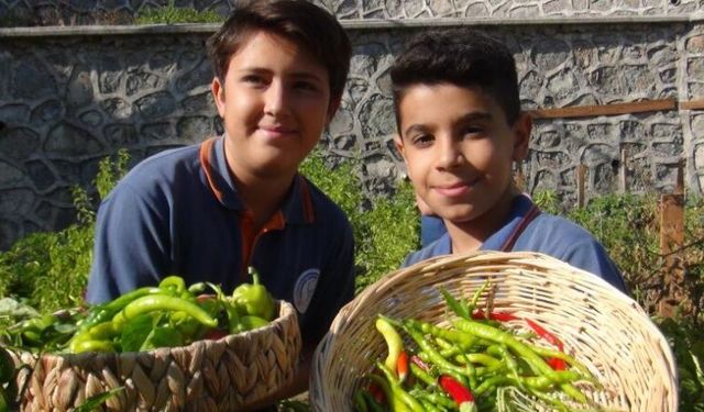 Manisa’da minik eller, turşuyla büyük işlere imza atıyor