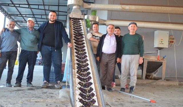 İlçenin Tek Zeytinyağı Fabrikası Sezona Hızlı Bir Giriş Yaptı