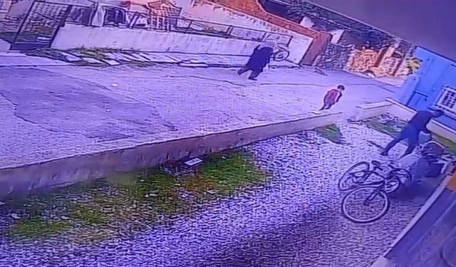 Çocukların gözü önünde köpeği katletti