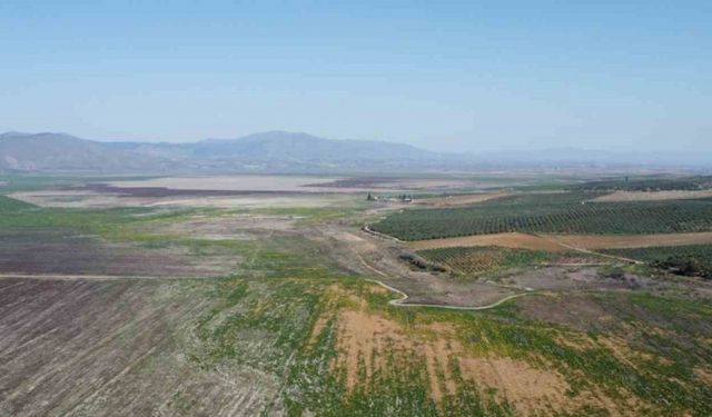 Manisa’da kuruyan Marmara Gölü yeniden canlanıyor