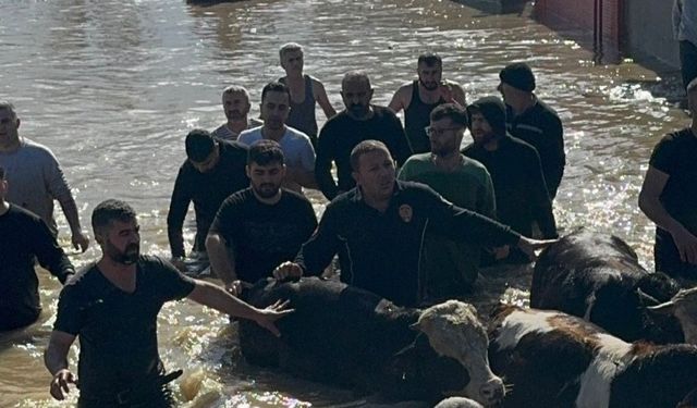 Taşan Gediz Nehri dolayısıyla mahsur kalan 44 kişi ve 127 hayvan kurtarıldı