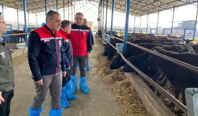 Devlet desteğiyle işini büyüten işletmeler incelendi