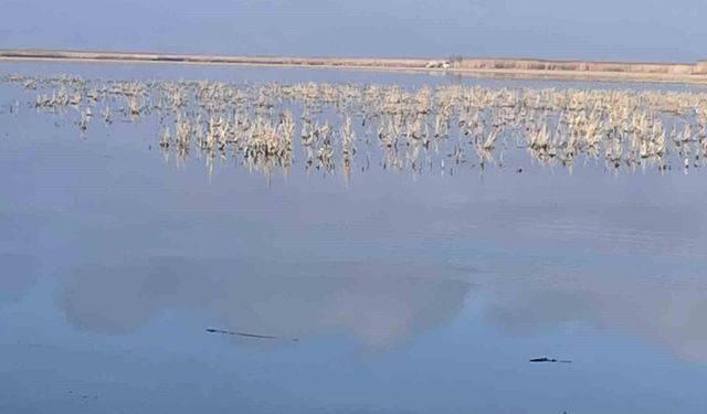 Her damlanın Eber Gölü'ne ulaşması için topyekun mücadele
