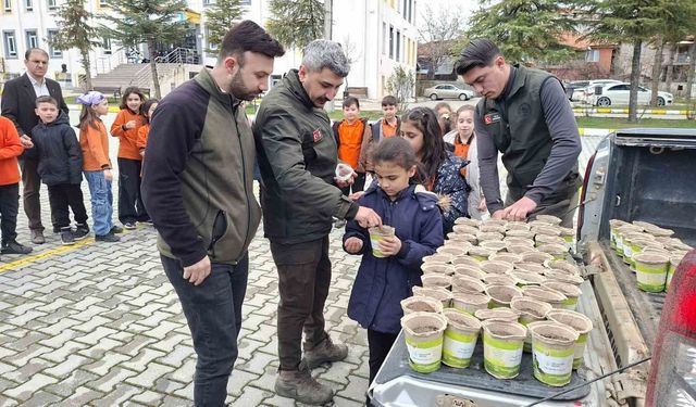 Hisarcık'ta minikler saksılarda karaçam fidanı yetiştirecek